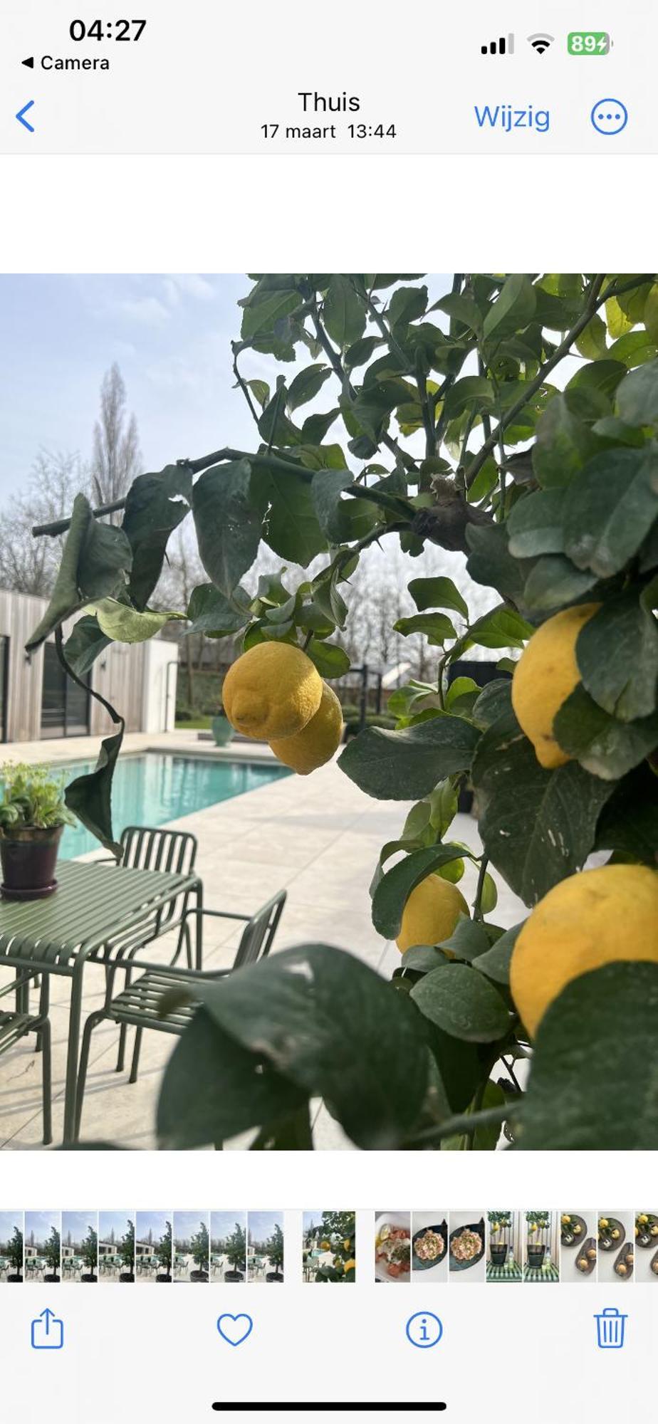 De Lichtboei Bed and Breakfast Kootwijkerbroek Εξωτερικό φωτογραφία