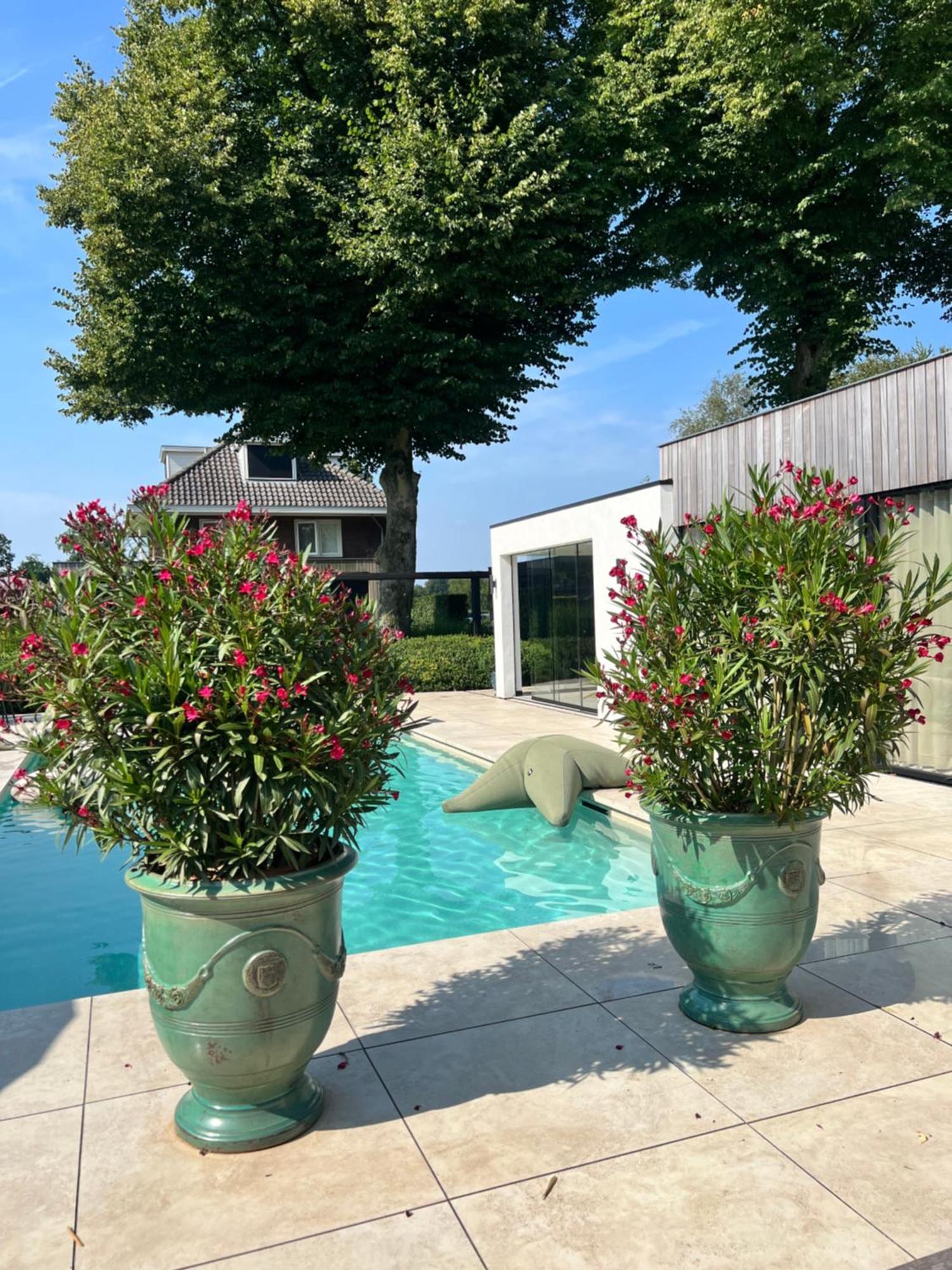 De Lichtboei Bed and Breakfast Kootwijkerbroek Εξωτερικό φωτογραφία