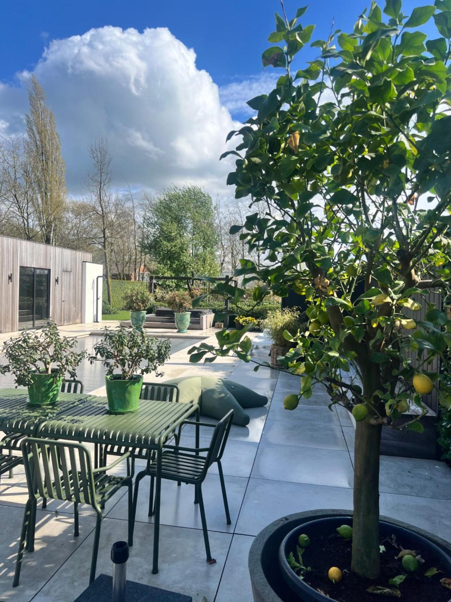 De Lichtboei Bed and Breakfast Kootwijkerbroek Εξωτερικό φωτογραφία