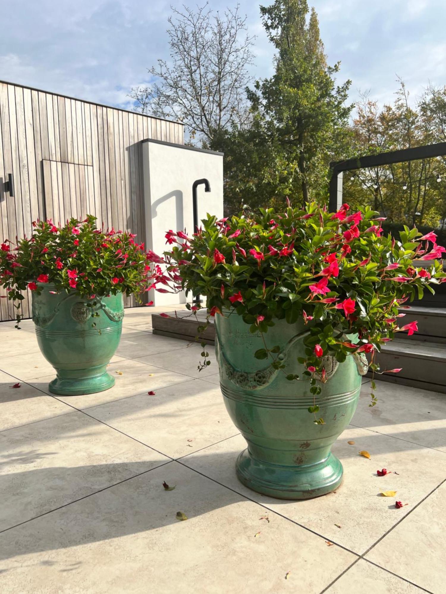 De Lichtboei Bed and Breakfast Kootwijkerbroek Εξωτερικό φωτογραφία